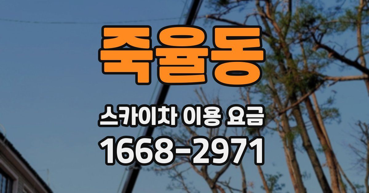 죽율동 스카이차 이용 요금