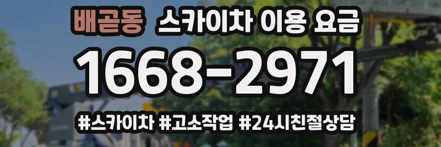 배곧동 스카이차 이용 요금