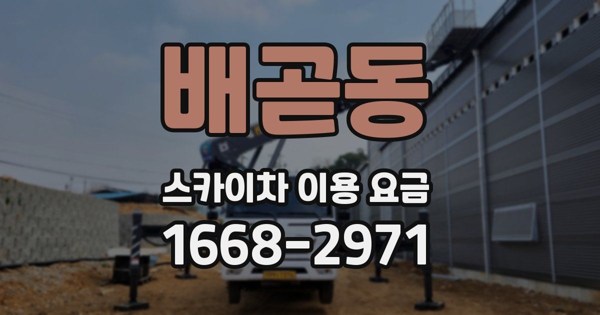 배곧동 스카이차 이용 요금