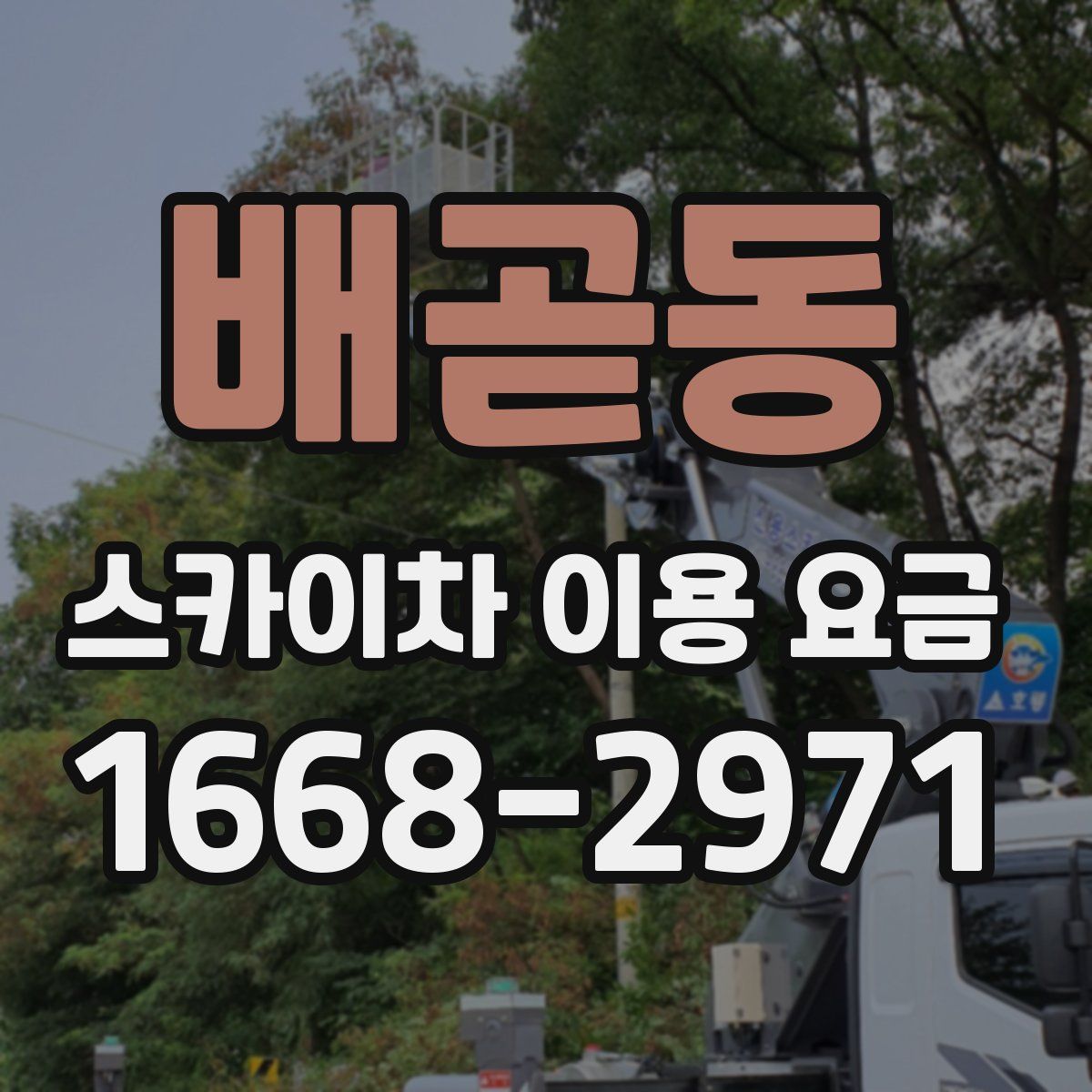 배곧동 스카이차 이용 요금