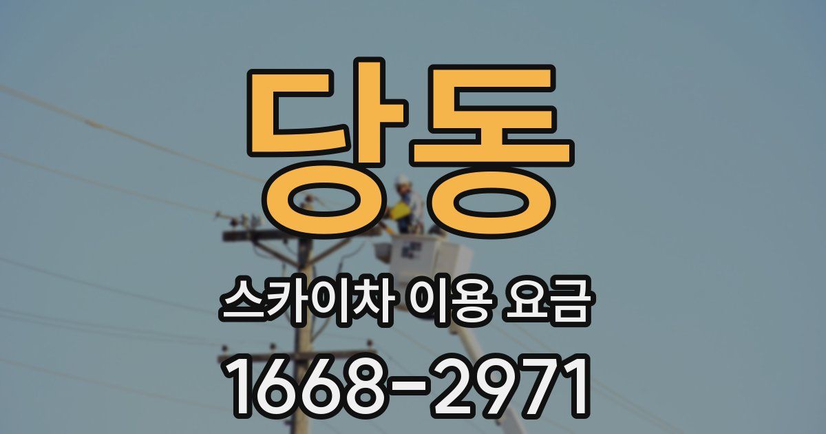 당동 스카이차 이용 요금