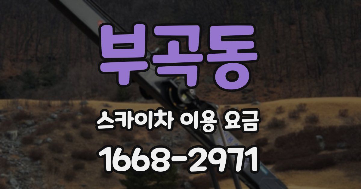 부곡동 스카이차 이용 요금