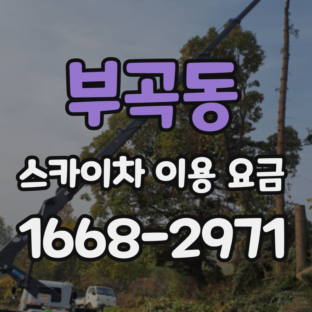 부곡동 스카이차 이용 요금