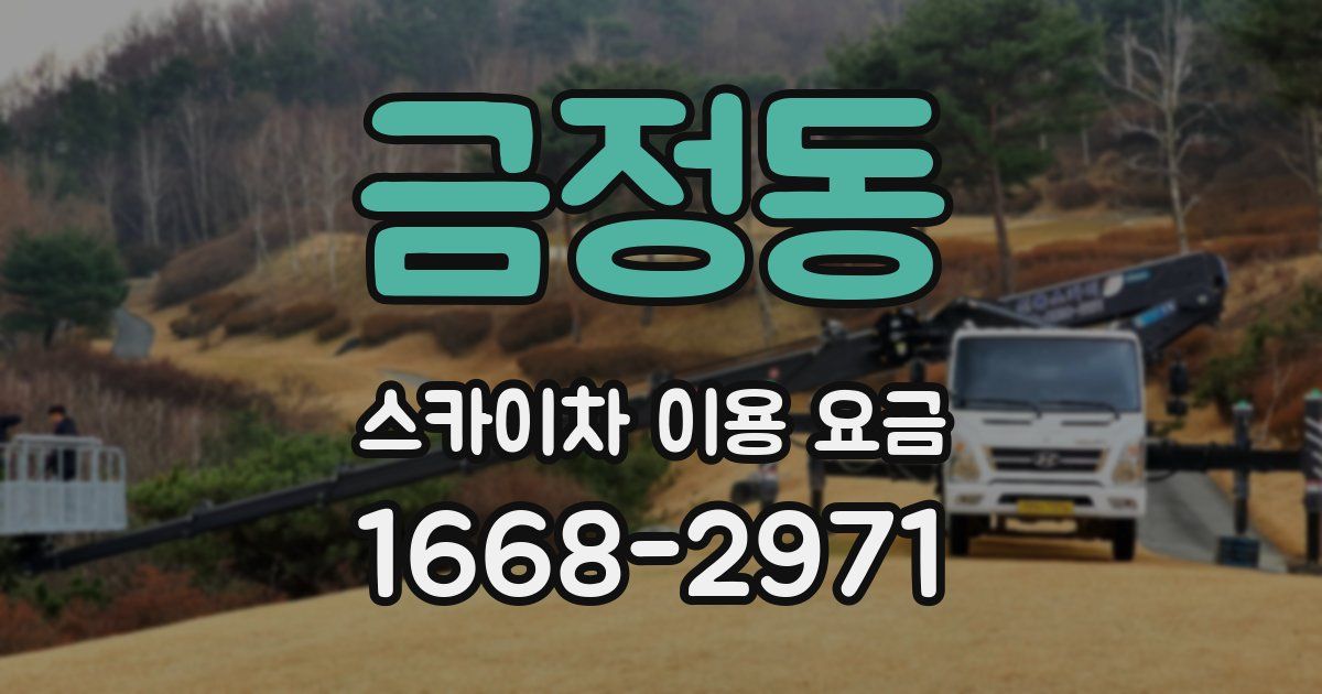 금정동 스카이차 이용 요금