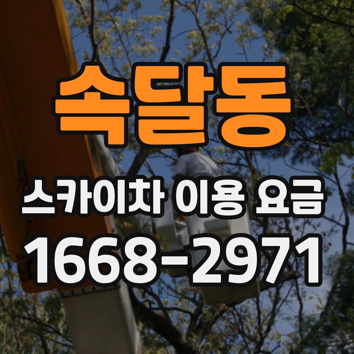 속달동 스카이차 이용 요금