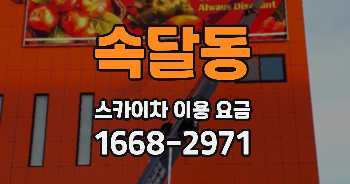 속달동 스카이차 이용 요금