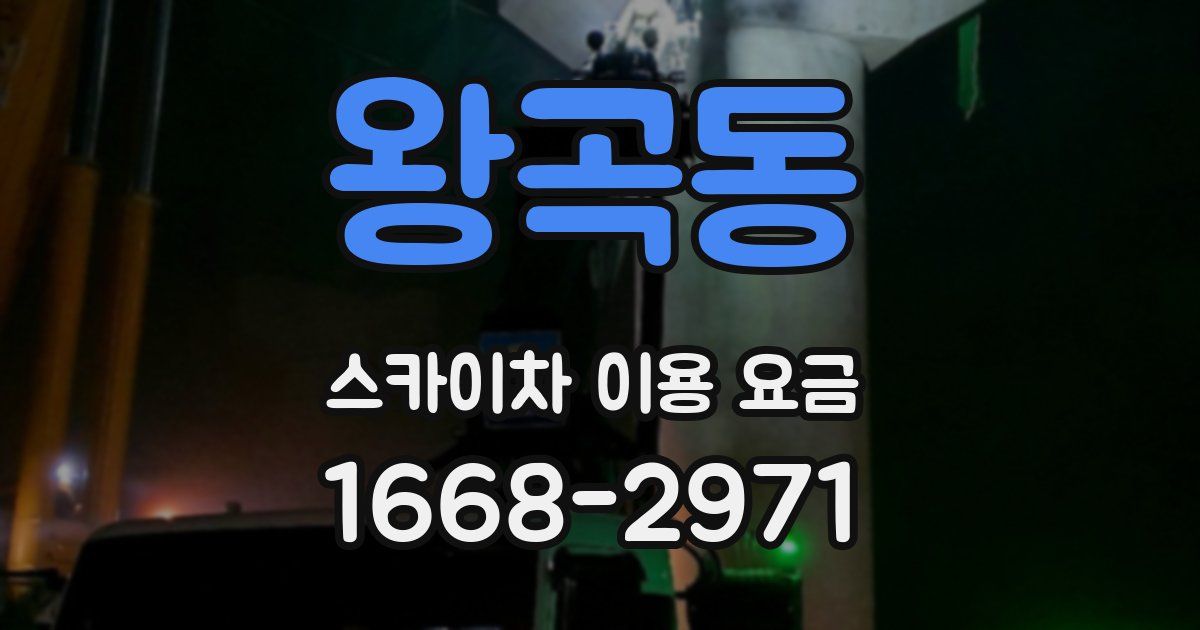 왕곡동 스카이차 이용 요금