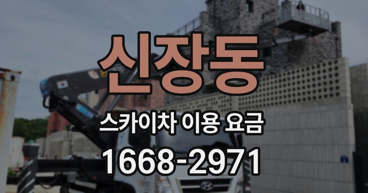 신장동 스카이차 이용 요금