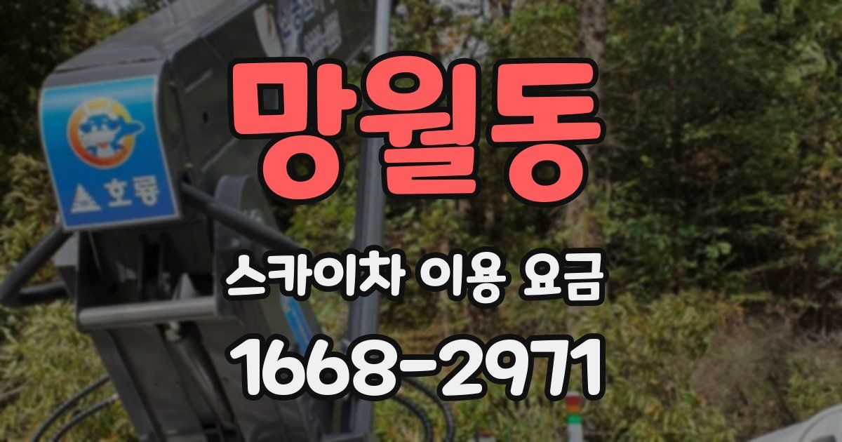망월동 스카이차 이용 요금