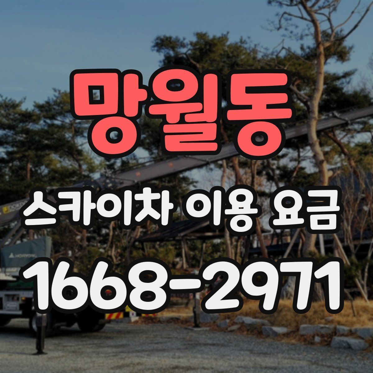 망월동 스카이차 이용 요금