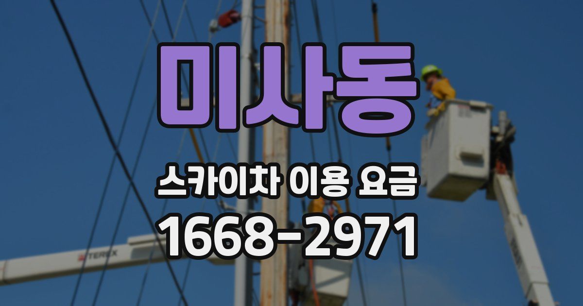 미사동 스카이차 이용 요금