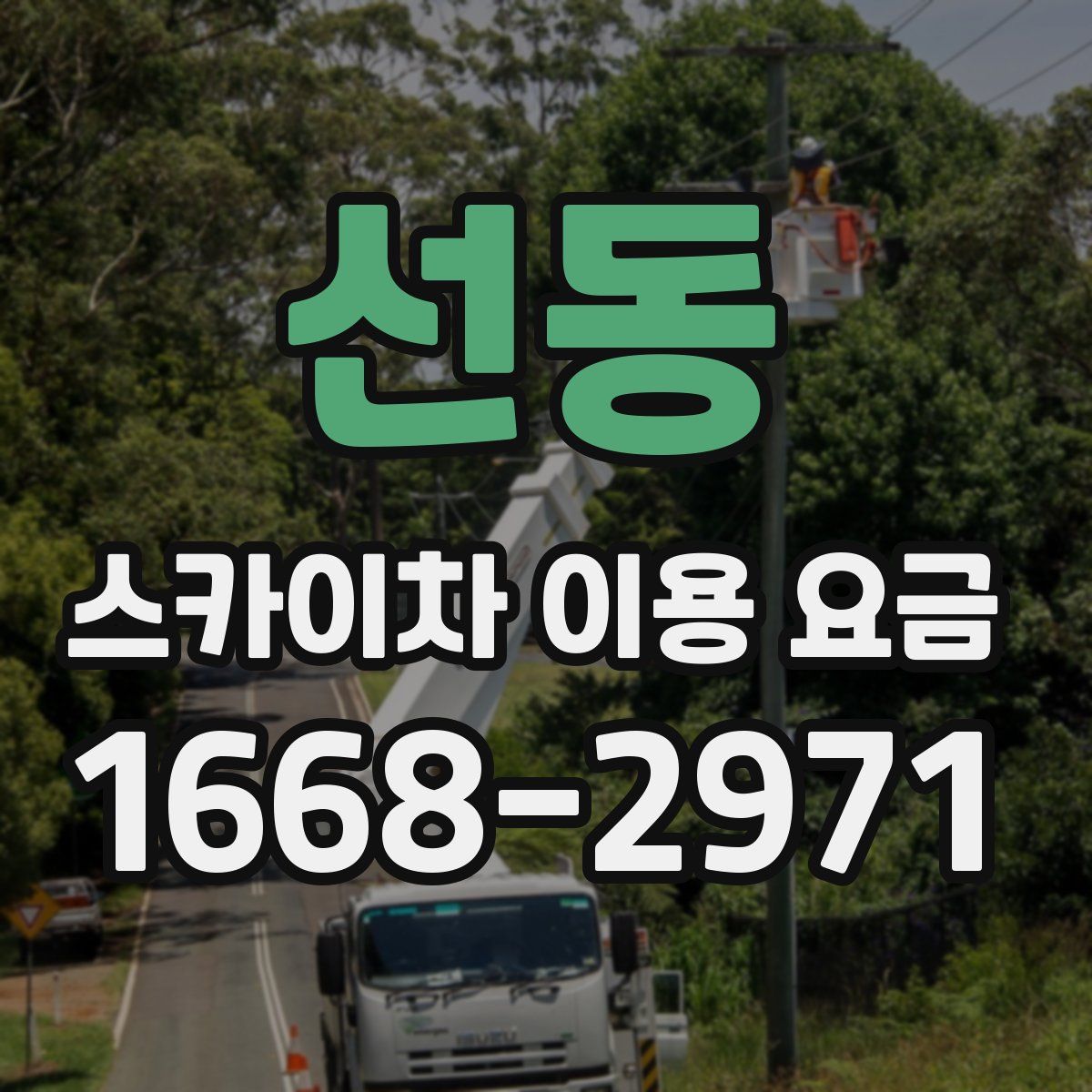 선동 스카이차 이용 요금