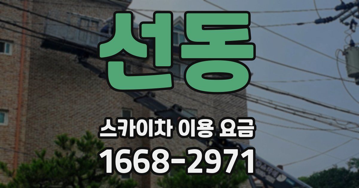 선동 스카이차 이용 요금