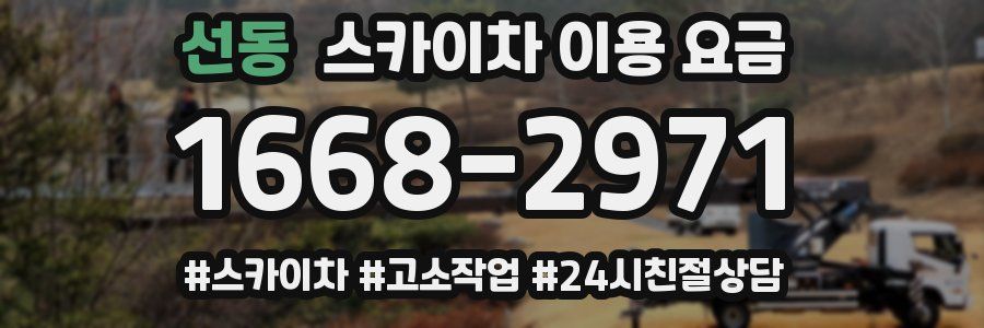 선동 스카이차 이용 요금