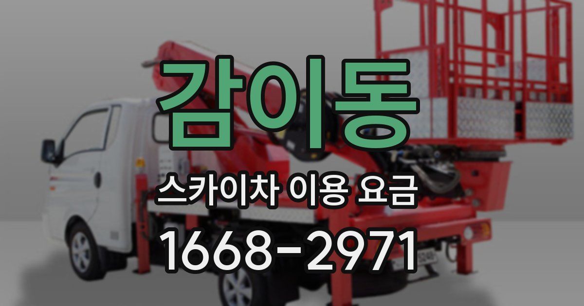 감이동 스카이차 이용 요금