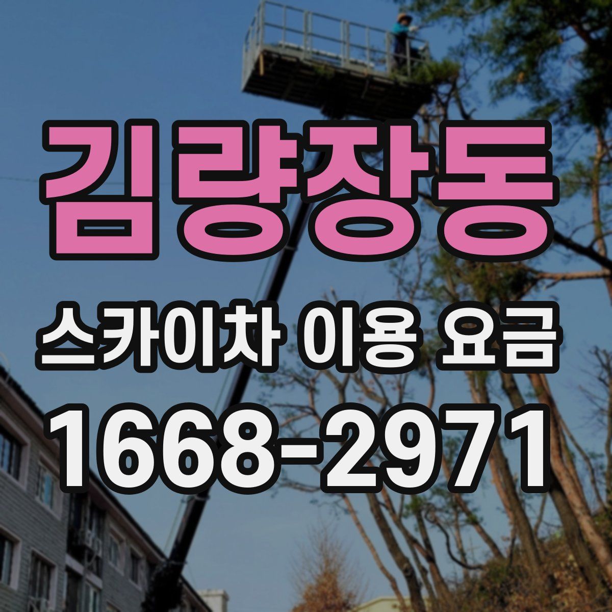 김량장동 스카이차 이용 요금