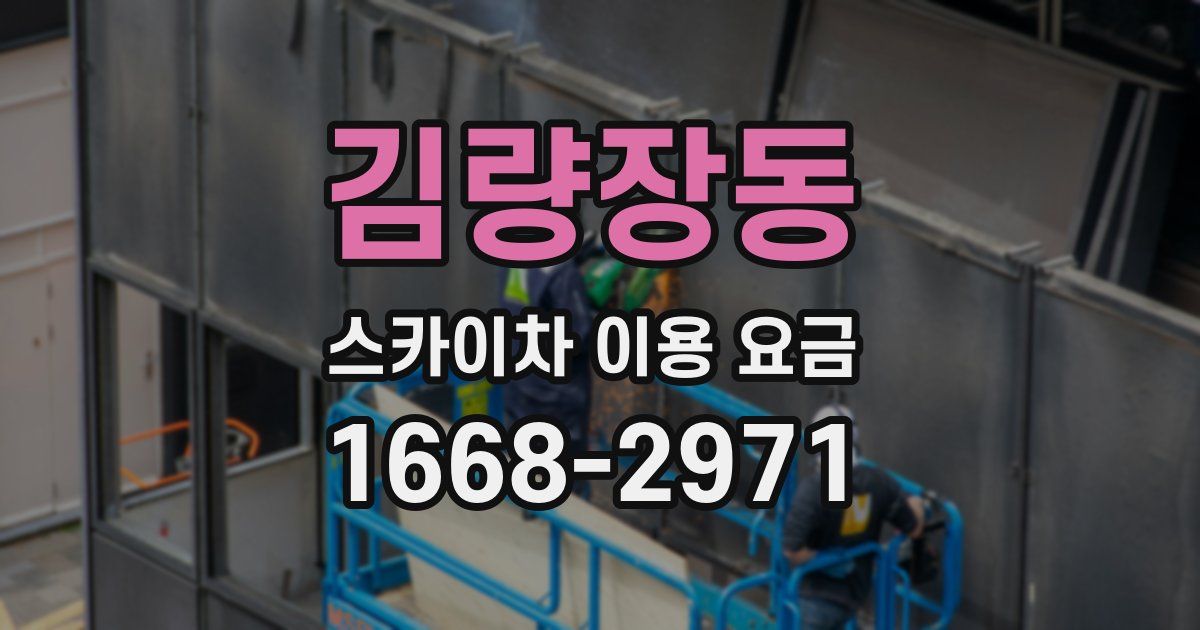 김량장동 스카이차 이용 요금