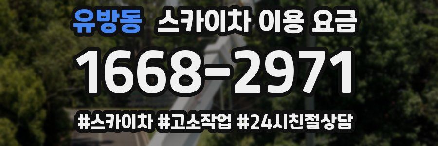 유방동 스카이차 이용 요금