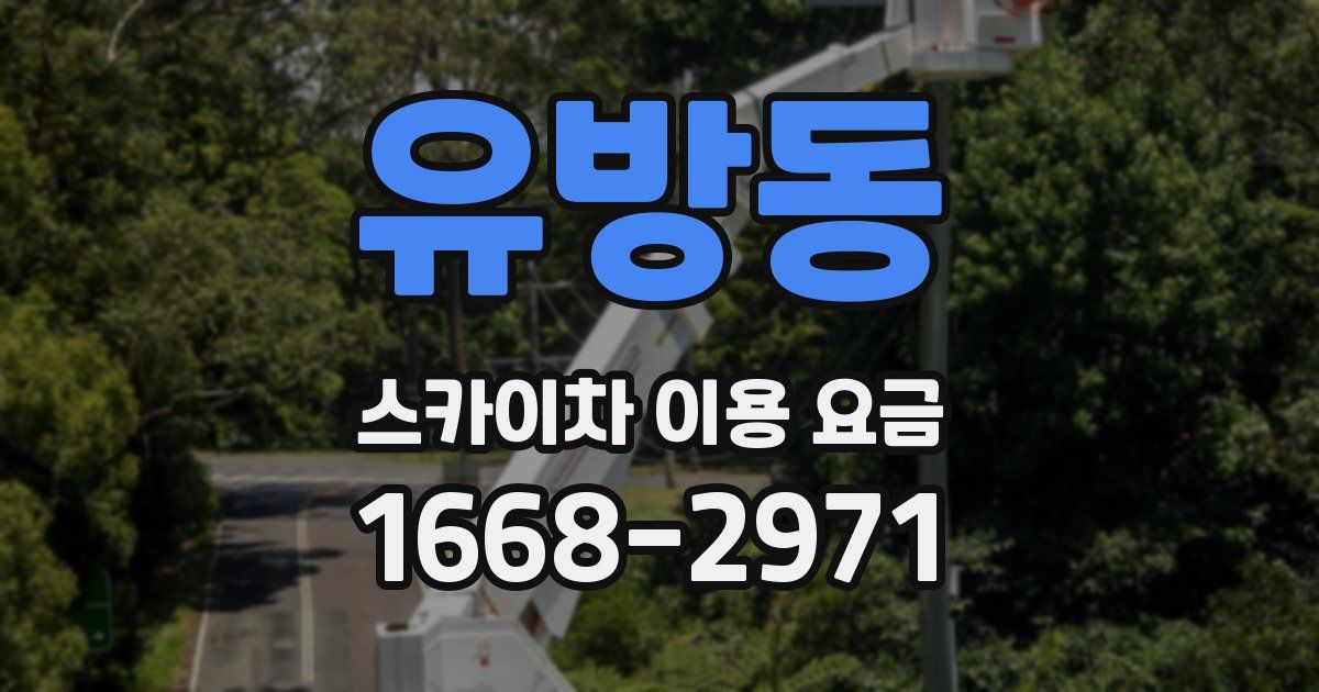 유방동 스카이차 이용 요금