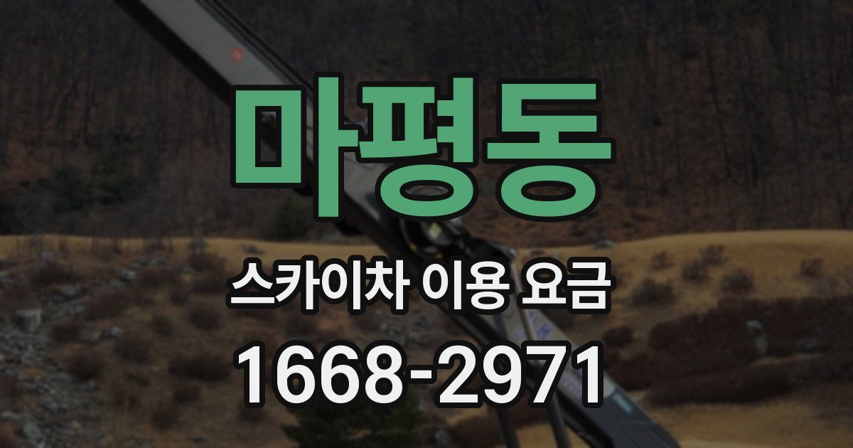 마평동 스카이차 이용 요금