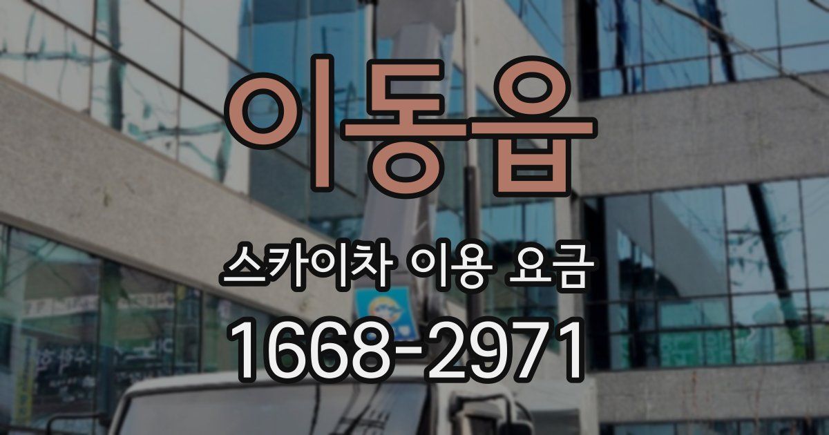 이동읍 스카이차 이용 요금