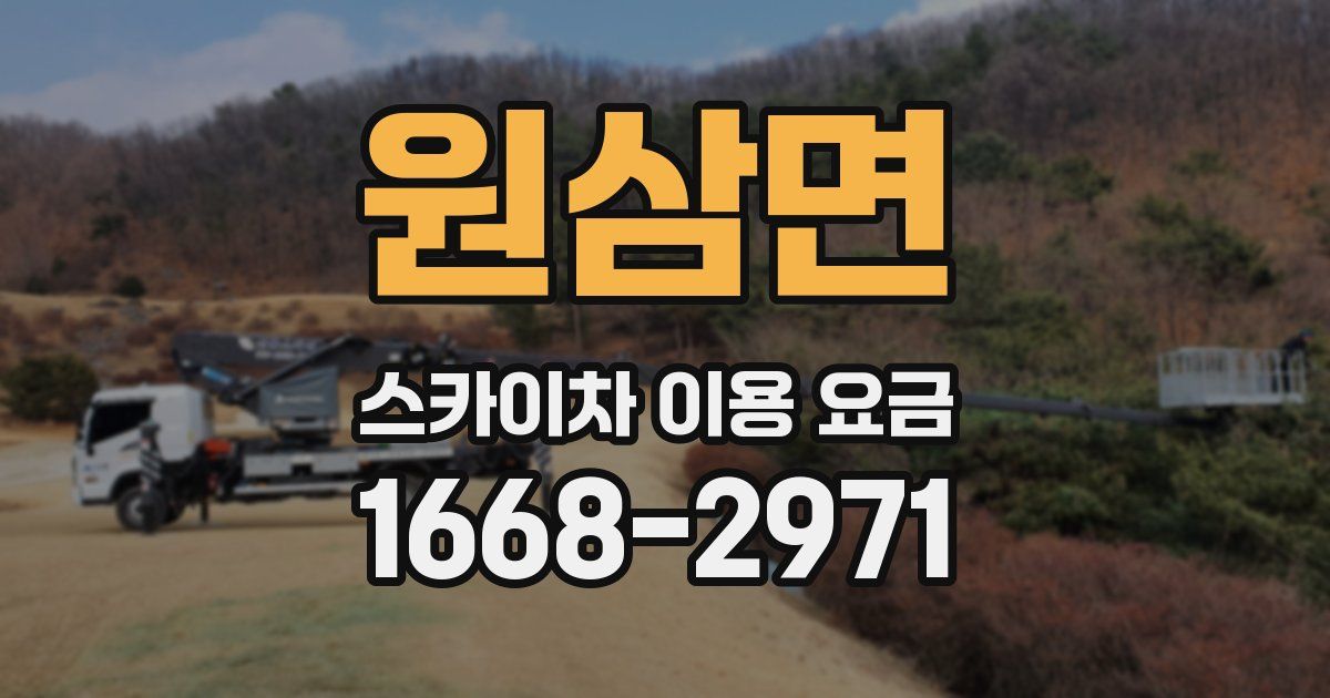 원삼면 스카이차 이용 요금