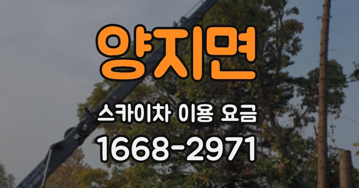 양지면 스카이차 이용 요금