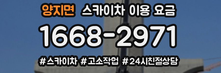 양지면 스카이차 이용 요금