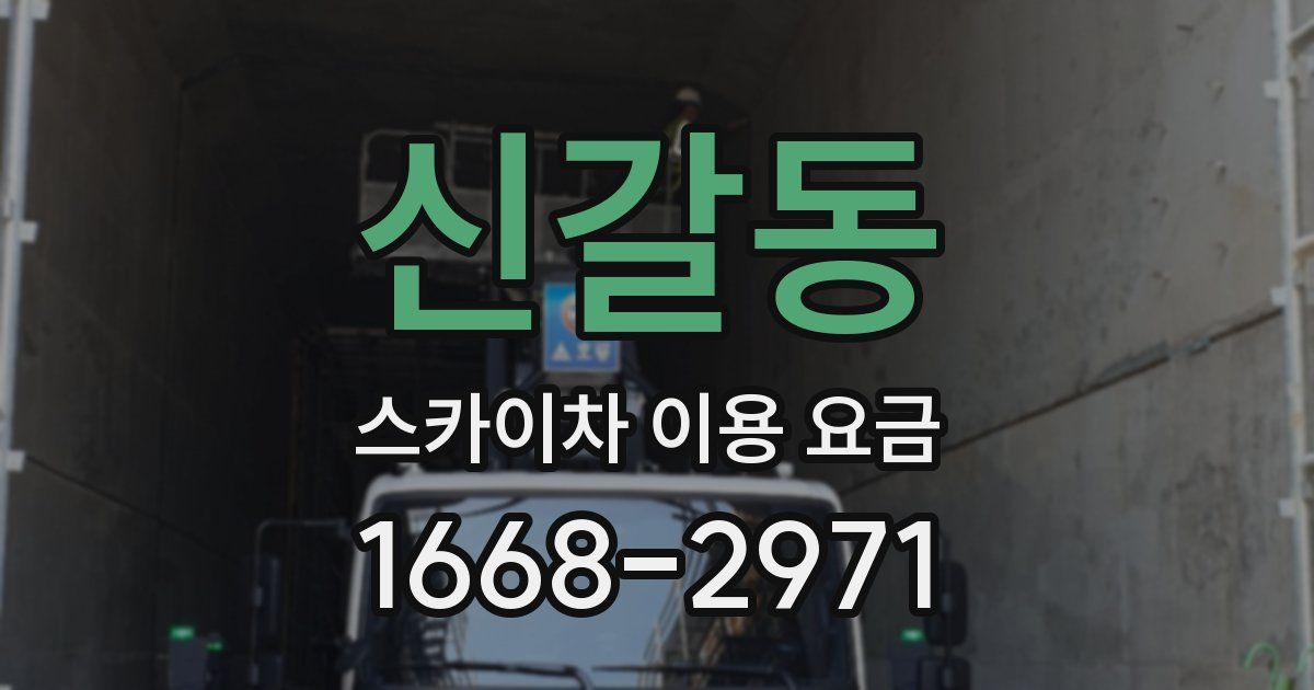 신갈동 스카이차 이용 요금
