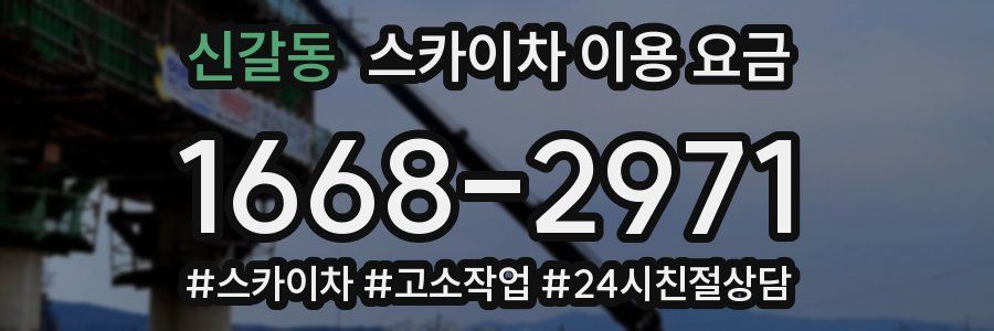 신갈동 스카이차 이용 요금
