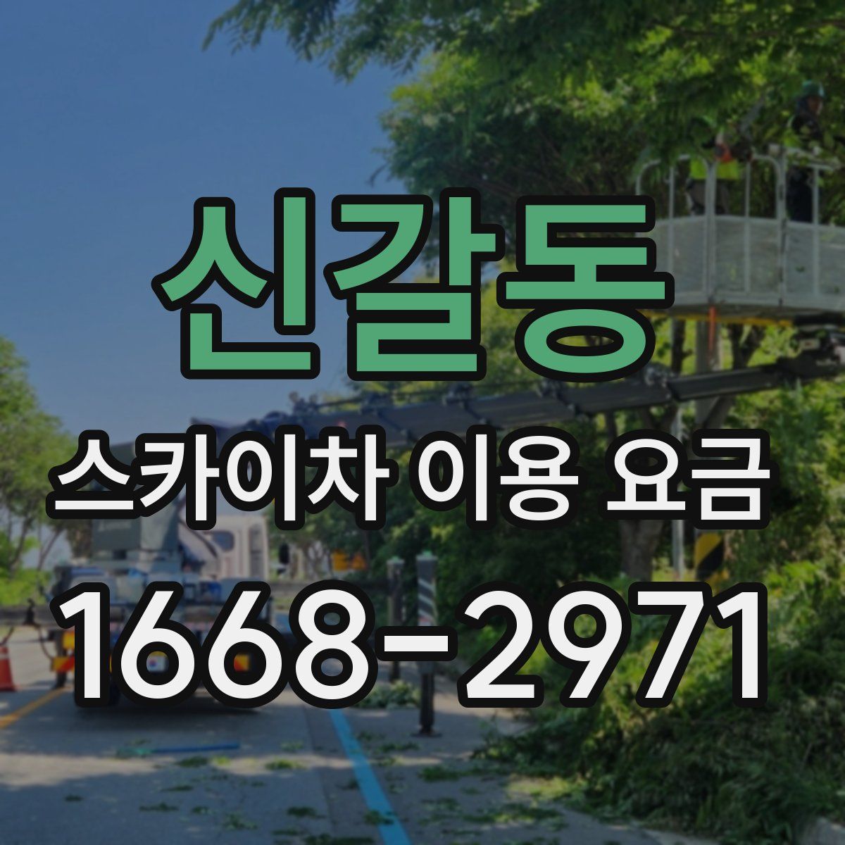 신갈동 스카이차 이용 요금
