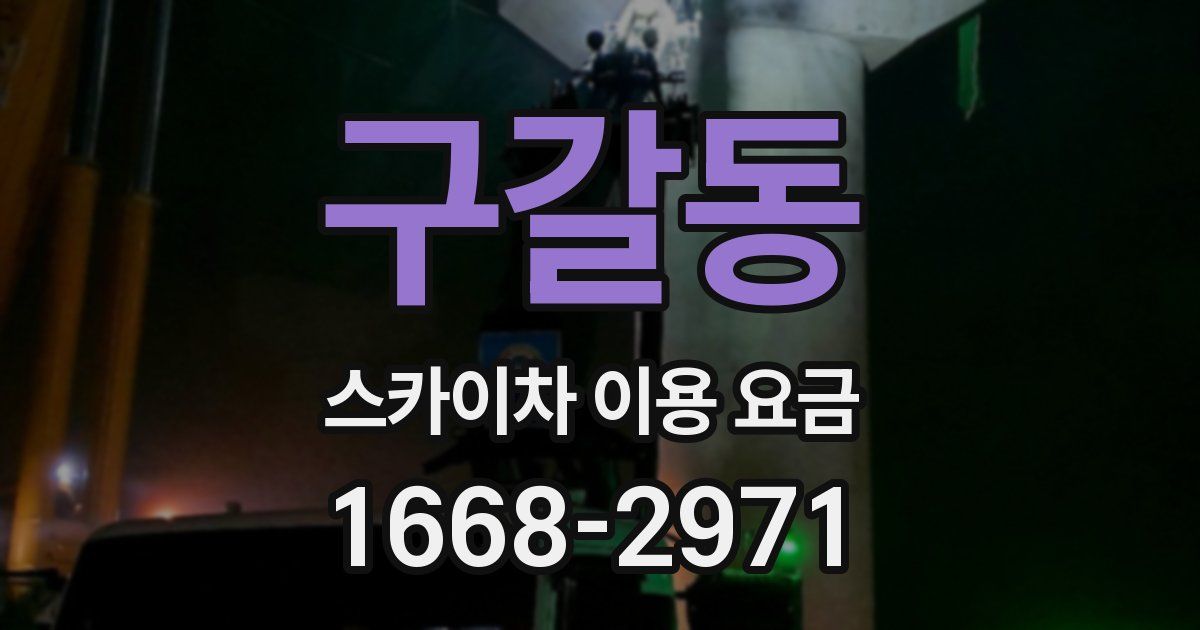 구갈동 스카이차 이용 요금
