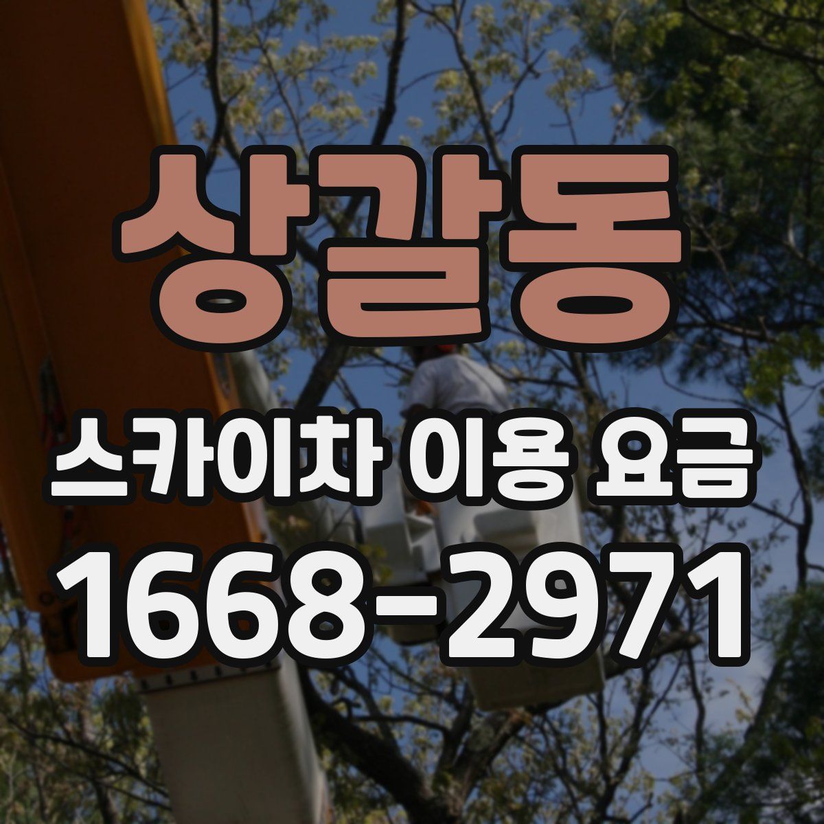 상갈동 스카이차 이용 요금