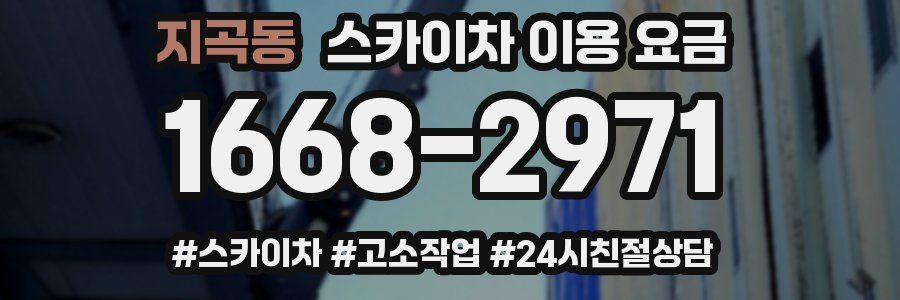 지곡동 스카이차 이용 요금