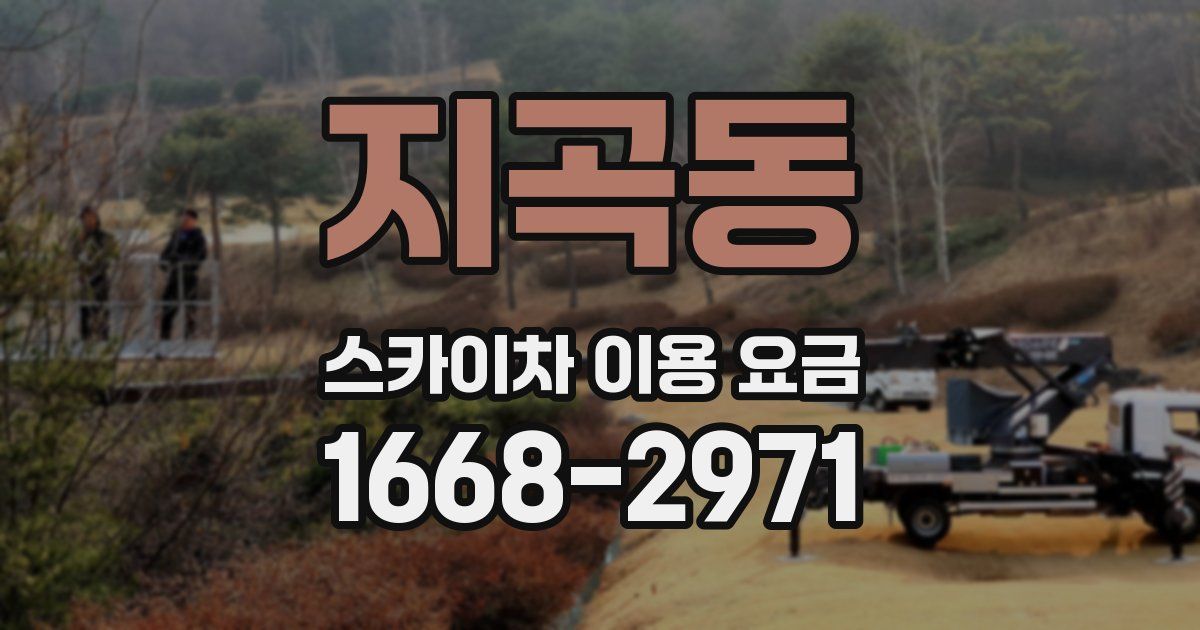 지곡동 스카이차 이용 요금