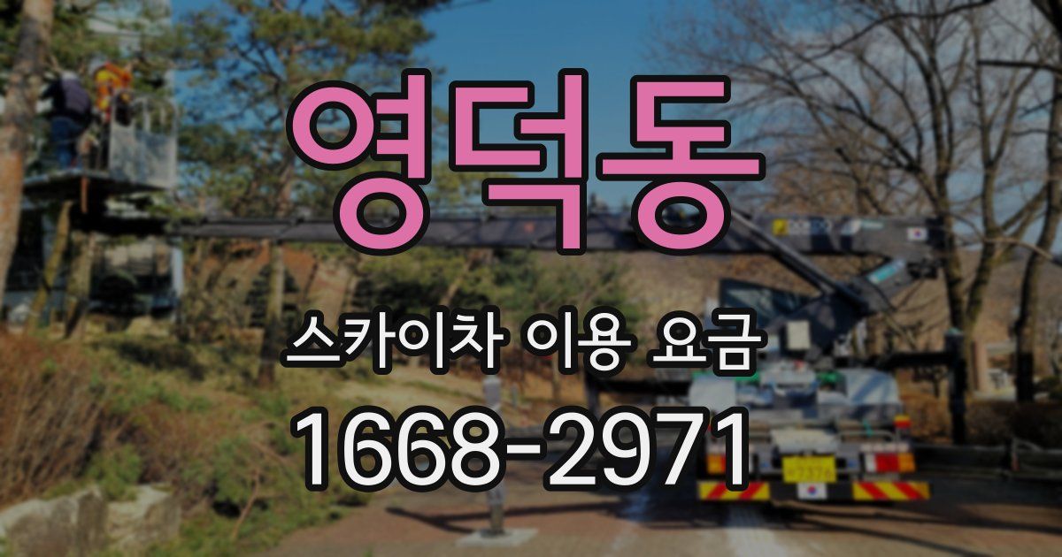 영덕동 스카이차 이용 요금
