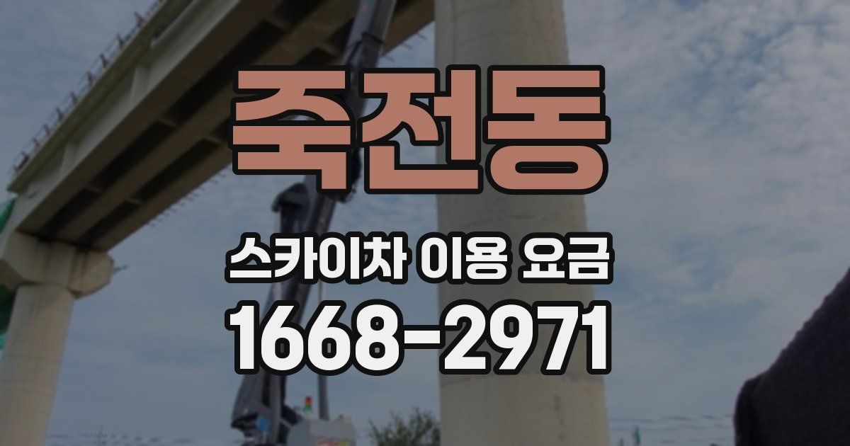 죽전동 스카이차 이용 요금