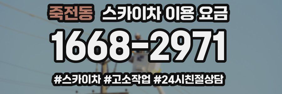 죽전동 스카이차 이용 요금