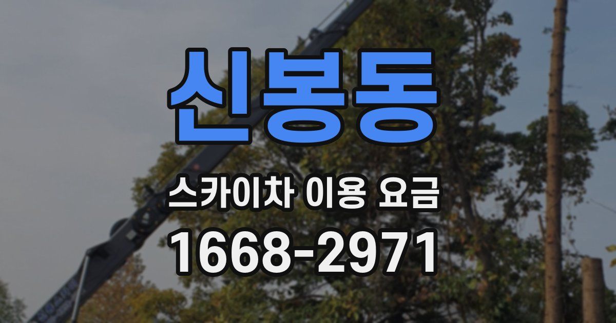 신봉동 스카이차 이용 요금