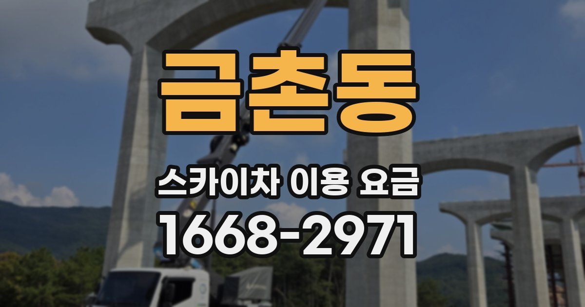금촌동 스카이차 이용 요금