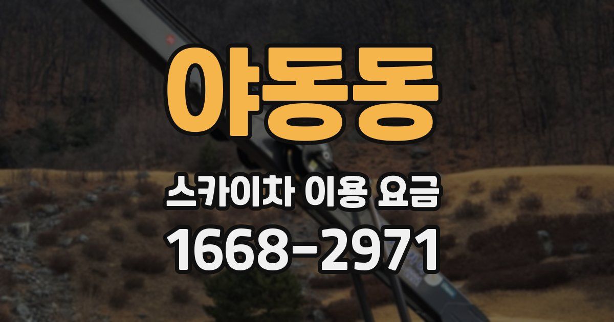 야동동 스카이차 이용 요금