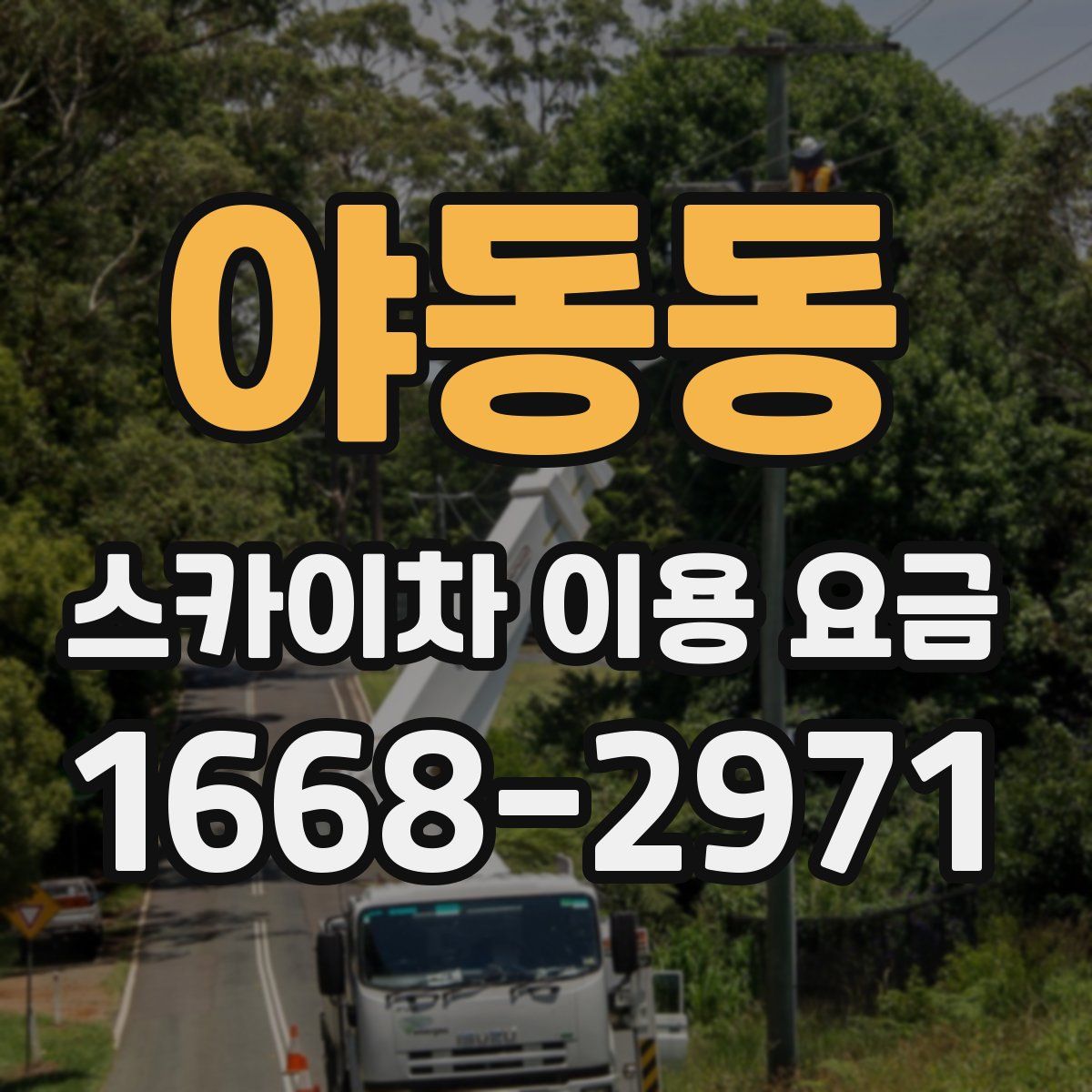 야동동 스카이차 이용 요금