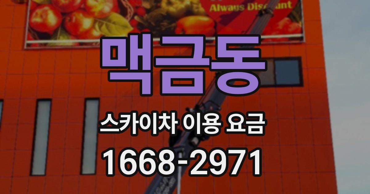 맥금동 스카이차 이용 요금