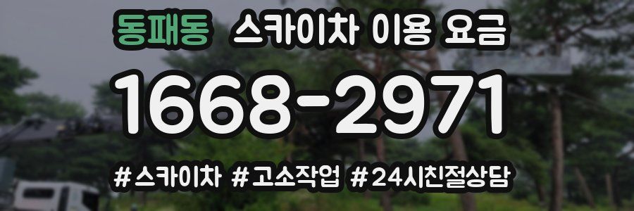 동패동 스카이차 이용 요금