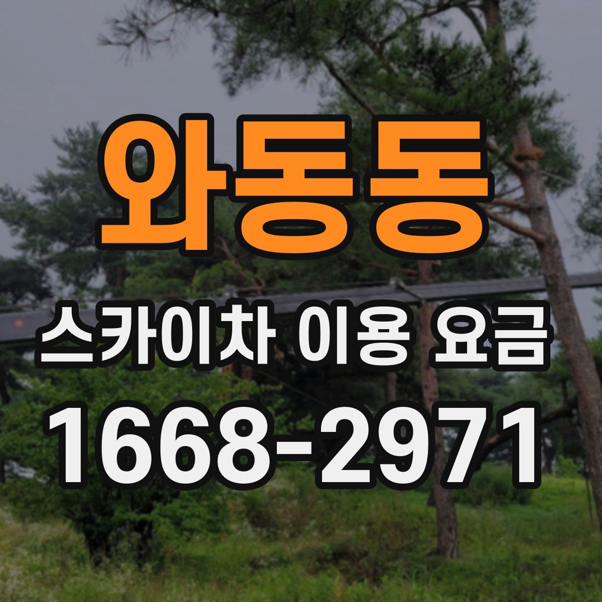 와동동 스카이차 이용 요금