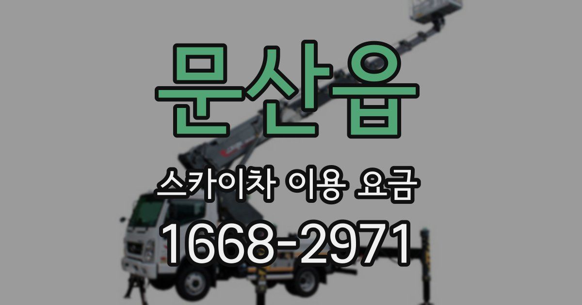 문산읍 스카이차 이용 요금
