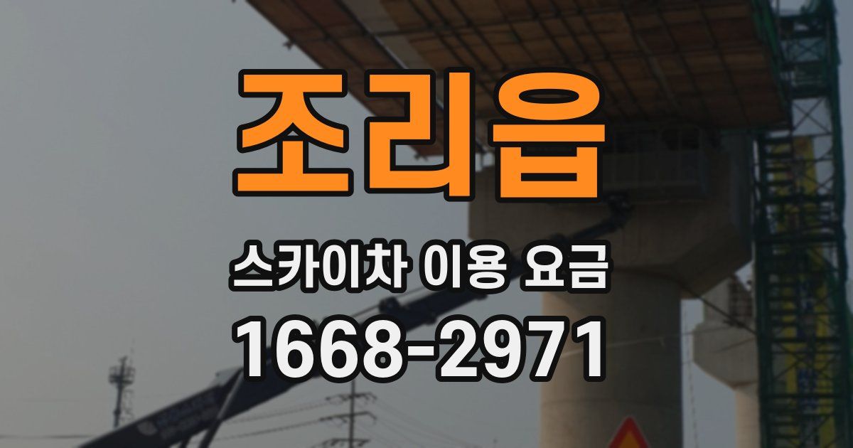 조리읍 스카이차 이용 요금