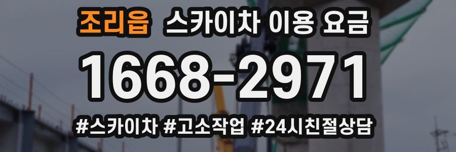 조리읍 스카이차 이용 요금