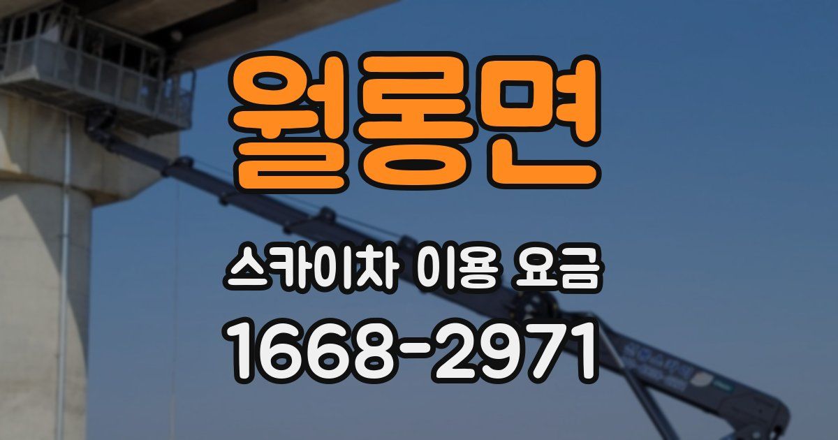 월롱면 스카이차 이용 요금