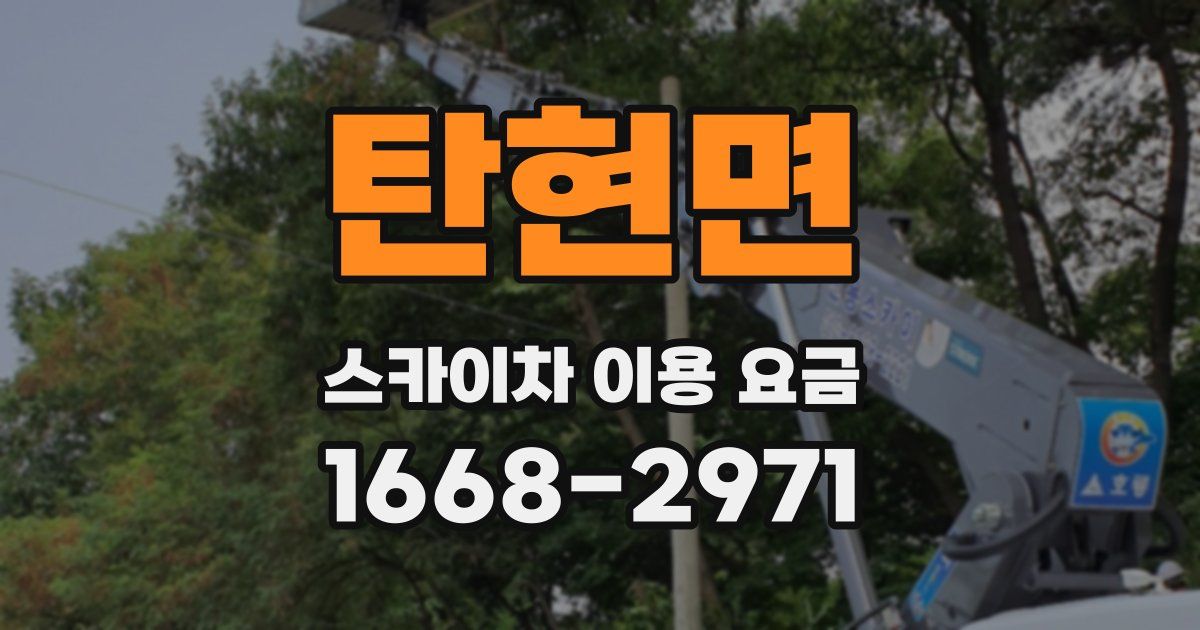 탄현면 스카이차 이용 요금